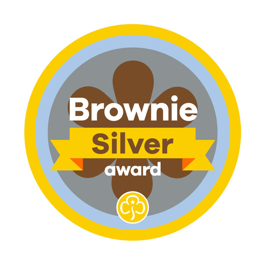 Silver Award Woven Badge Brownies