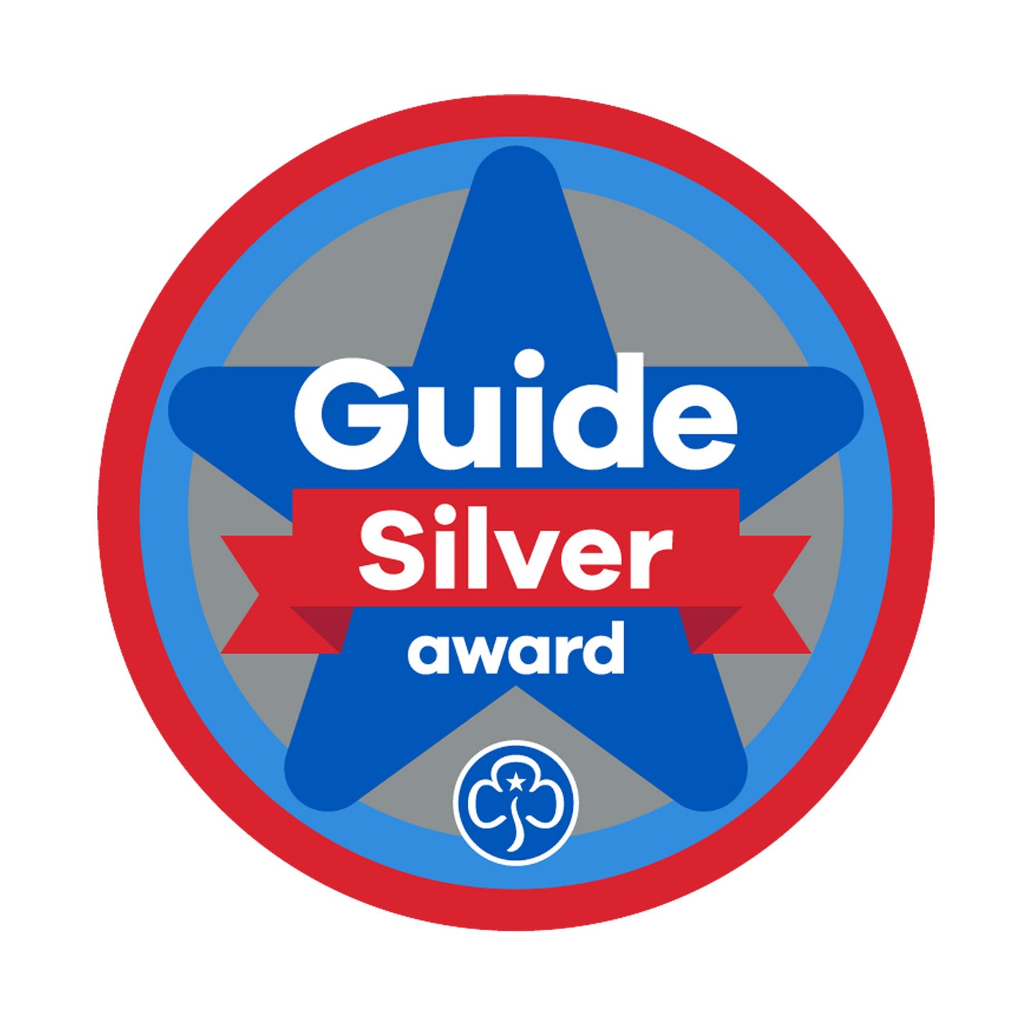 Silver Award Woven Badge Guides