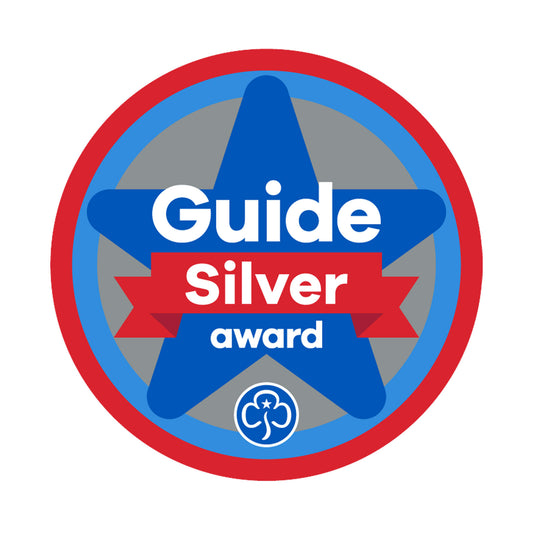 Silver Award Woven Badge Guides