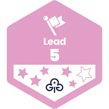 Skills Builder - Skills For My Future - Lead Stage 5 Woven Badge