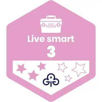 Skills Builder - Skills For My Future - Live Smart Stage 3 Woven Badge
