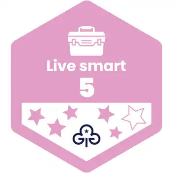 Skills Builder - Skills For My Future - Live Smart Stage 5 Woven Badge