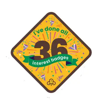 I've done all 36 interest badges - Brownies woven badge