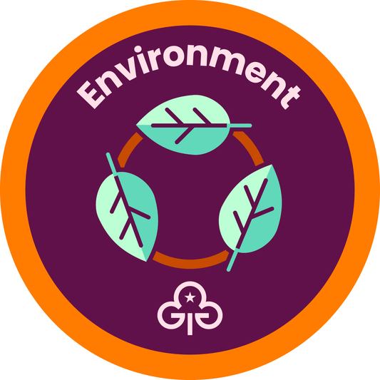 Rangers Environment woven badge