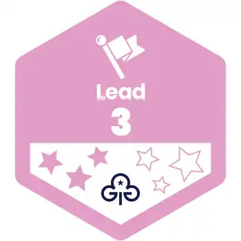 Skills Builder - Skills For My Future - Lead Stage 3 Woven Badge