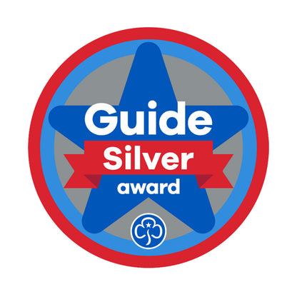 Silver Award Woven Badge Guides