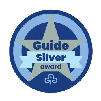 Silver Award Woven Badge Guides