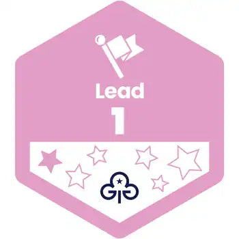Skills Builder - Skills For My Future - Lead Stage 1 Woven Badge
