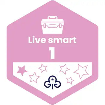 Skills Builder - Skills For My Future - Live Smart Stage 1 Woven Badge