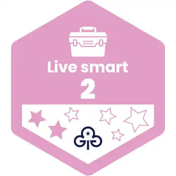 Skills Builder - Skills For My Future - Live Smart Stage 2 Woven Badge