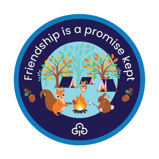 Friendship is a promise kept woven badge
