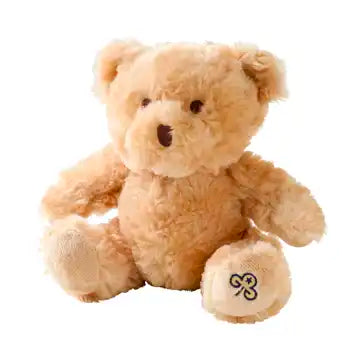 Girlguiding teddy bear