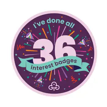 I've done all 36 interest badges - Rangers woven badge