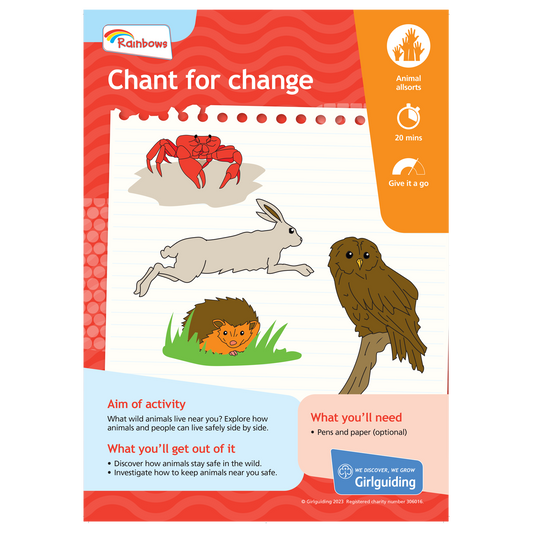 Rainbows Unit Meeting Activity Pack 11 - Chant for Change