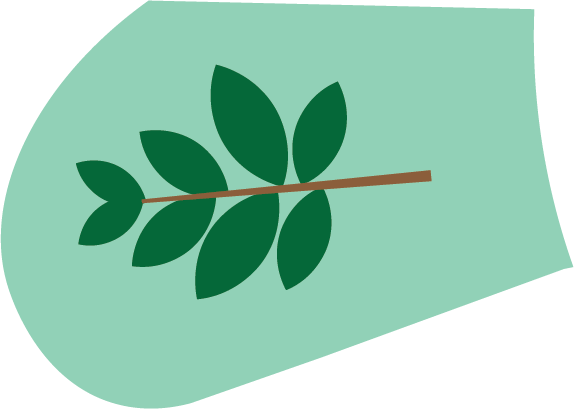 Seasons of Sustainability - Spring 1 - Woodlands