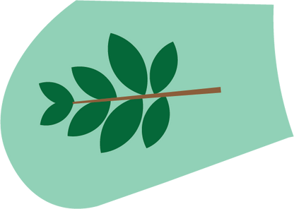 Seasons of Sustainability - Spring 1 - Woodlands