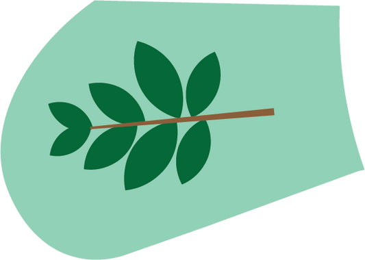 Seasons of Sustainability - Spring 1 - Woodlands