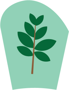 Seasons of Sustainability - Spring 1 - Woodlands