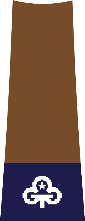 Seasons of Sustainability - Region Social Action Project Badge