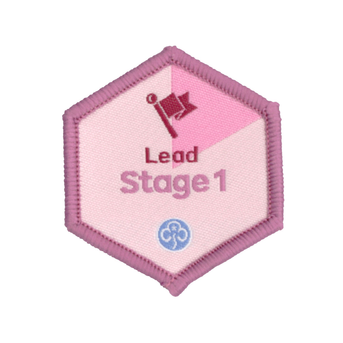 Skills Builder - Skills For My Future - Lead Stage 1 Woven Badge