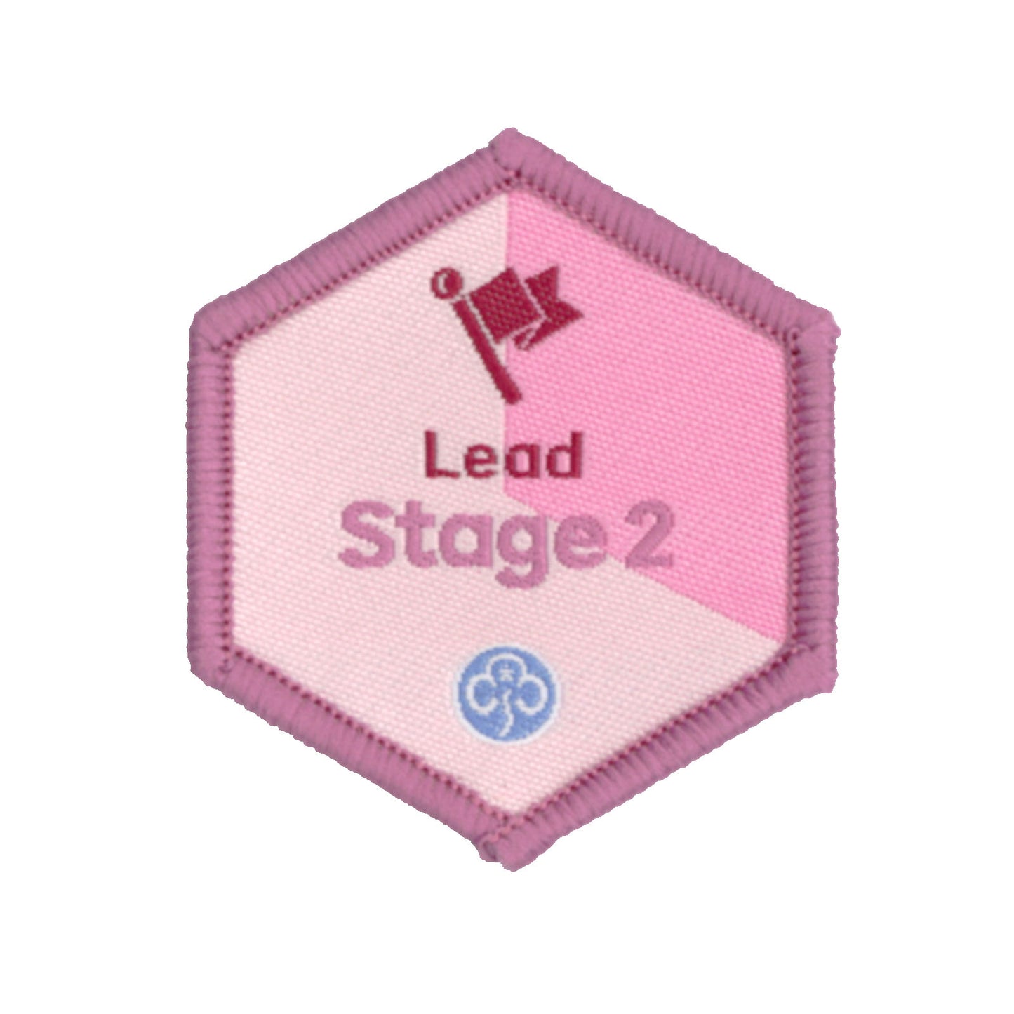 Skills Builder - Skills For My Future - Lead Stage 2 Woven Badge