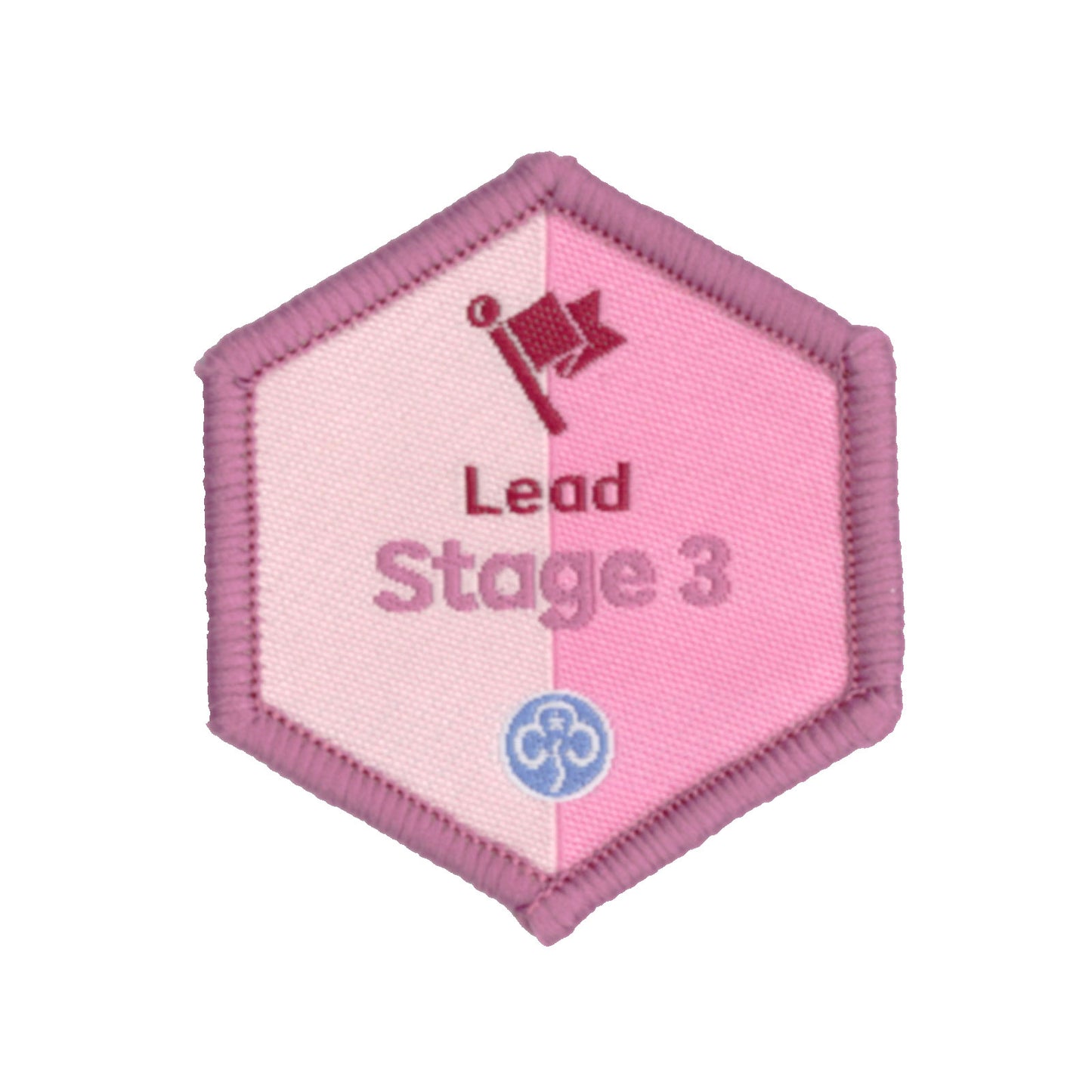 Skills Builder - Skills For My Future - Lead Stage 3 Woven Badge