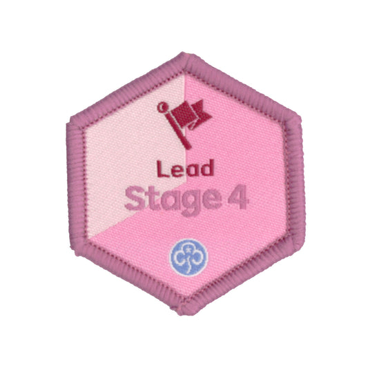 Skills Builder - Skills For My Future - Lead Stage 4 Woven Badge