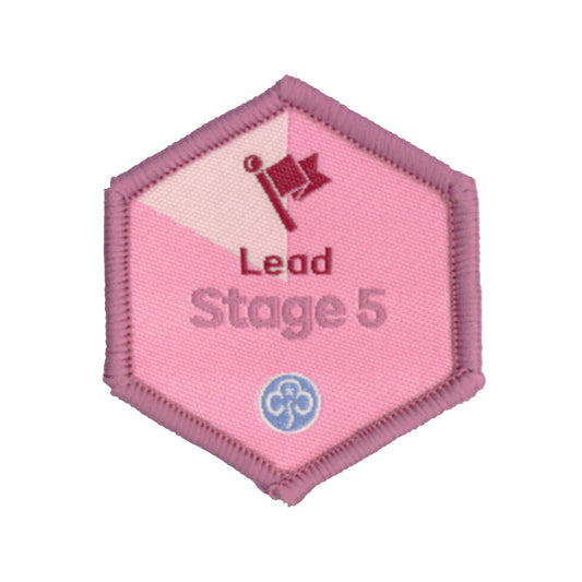 Skills Builder - Skills For My Future - Lead Stage 5 Woven Badge