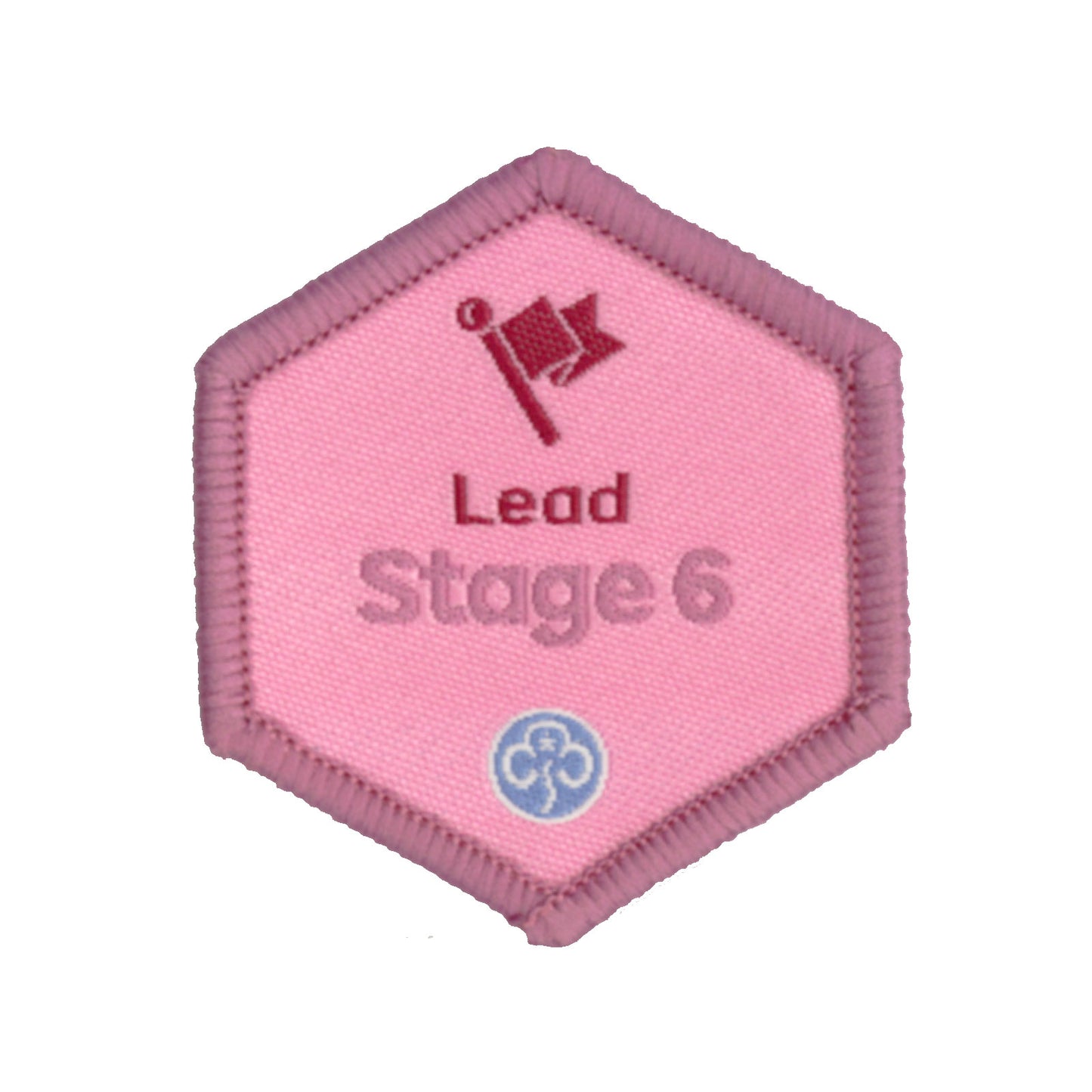 Skills Builder - Skills For My Future - Lead Stage 6 Woven Badge