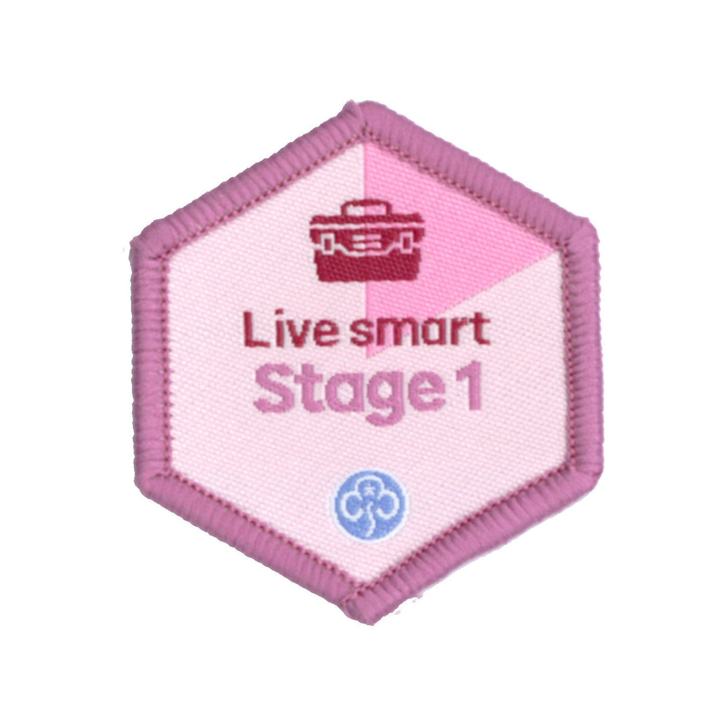 Skills Builder - Skills For My Future - Live Smart Stage 1 Woven Badge
