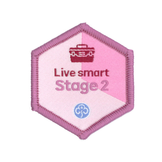 Skills Builder - Skills For My Future - Live Smart Stage 2 Woven Badge