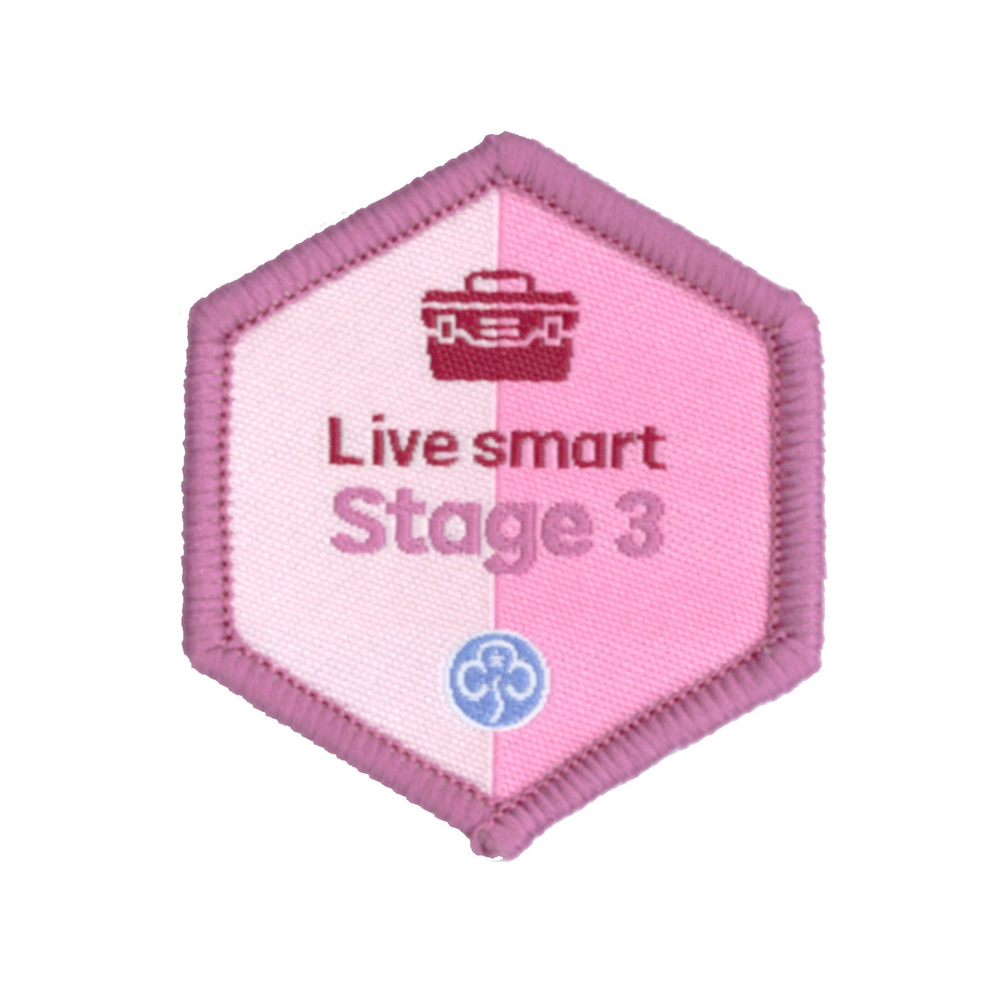 Skills Builder - Skills For My Future - Live Smart Stage 3 Woven Badge