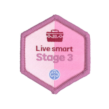 Skills Builder - Skills For My Future - Live Smart Stage 3 Woven Badge