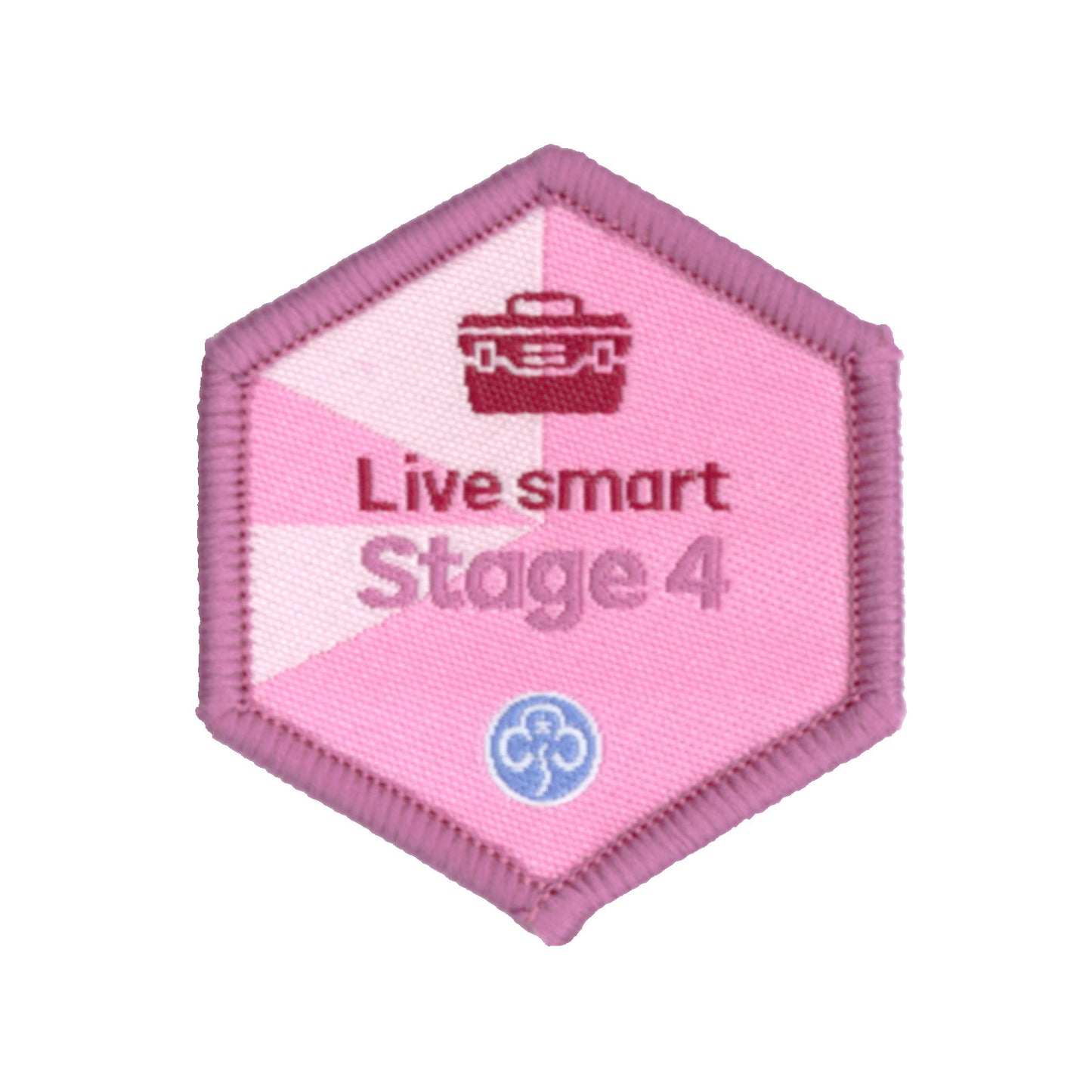 Skills Builder - Skills For My Future - Live Smart Stage 4 Woven Badge