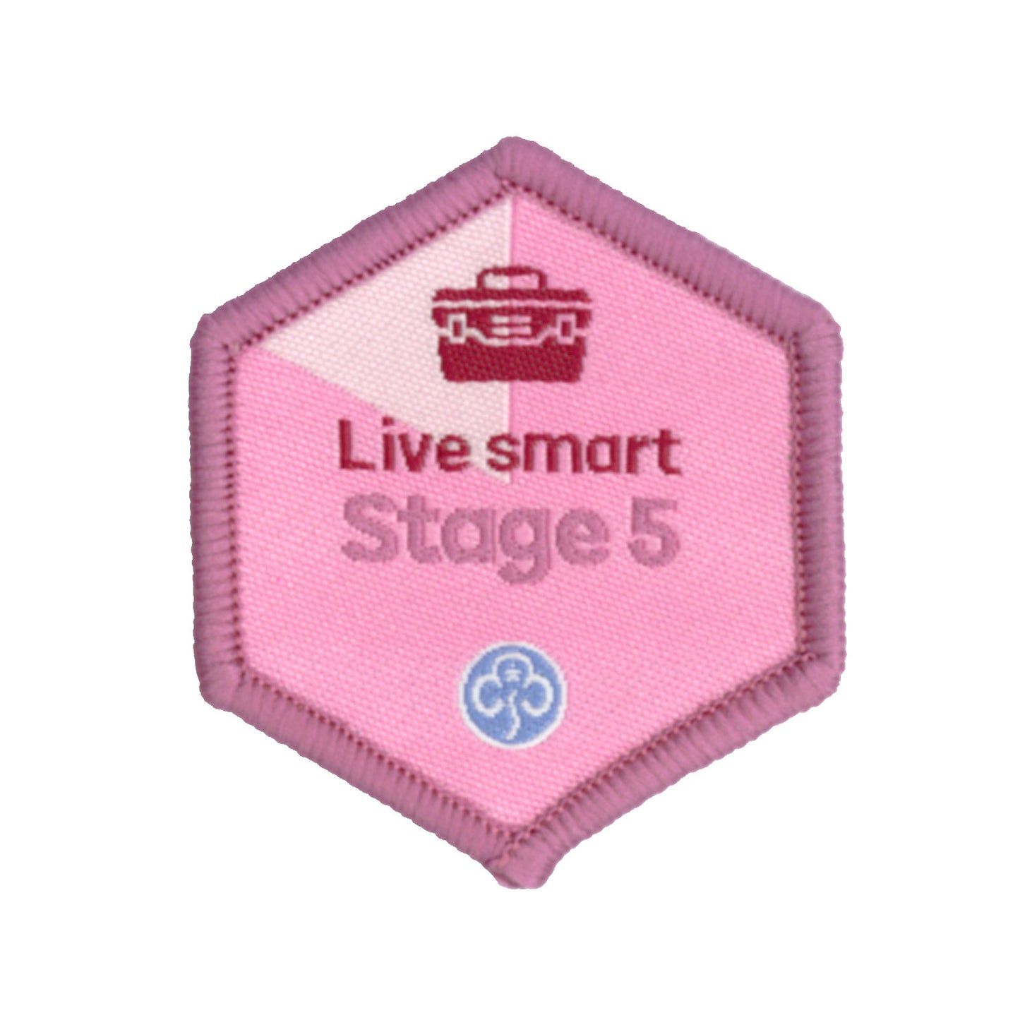 Skills Builder - Skills For My Future - Live Smart Stage 5 Woven Badge