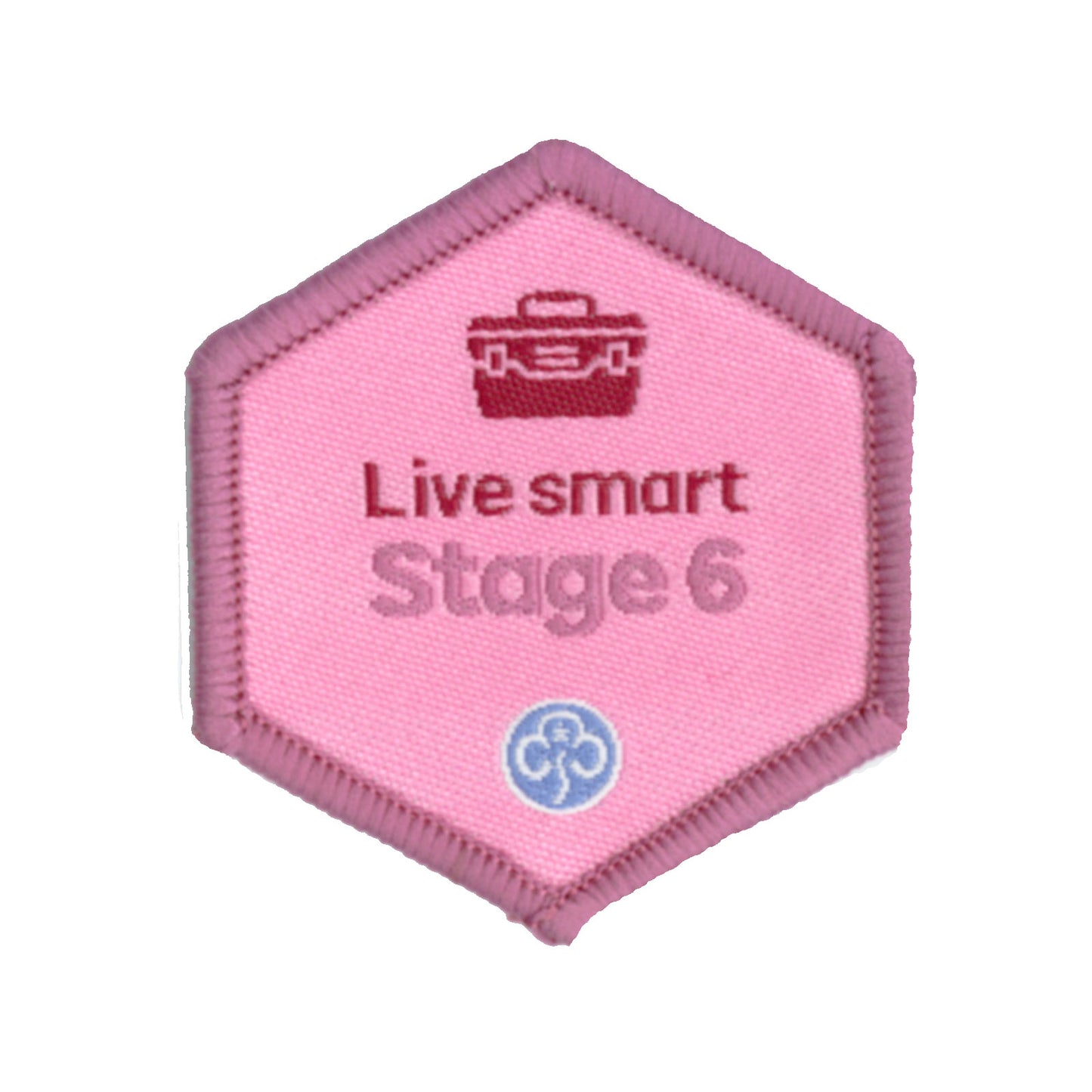 Skills Builder - Skills For My Future - Live Smart Stage 6 Woven Badge
