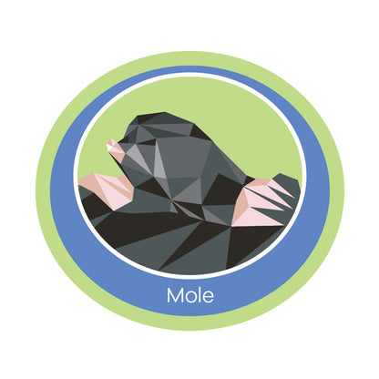 Woven Emblem Badge
